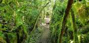 DURZON_19_09-52