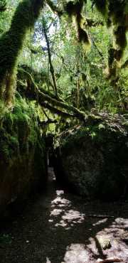DURZON_19_09-56