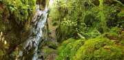 DURZON_19_09-61