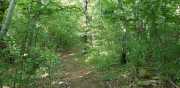 DURZON_19_09-67