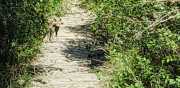 DURZON_19_09-8