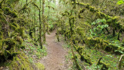 Nant_25_05-106