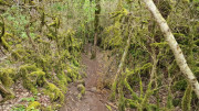 Nant_25_05-122