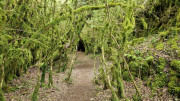 Nant_25_05-124