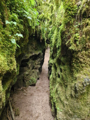 Nant_25_05-126