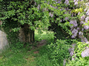 Nant_25_05-144
