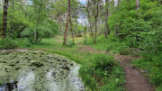 Nant_25_05-150