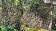 Nant_25_05-154