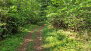 Nant_25_05-155