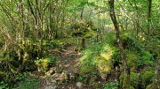 Nant_25_05-156
