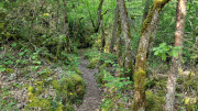 Nant_25_05-159