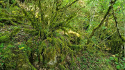 Nant_25_05-160