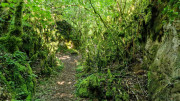 Nant_25_05-162