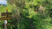 Nant_25_05-195