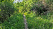 Nant_25_05-196