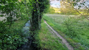 Nant_25_05-213