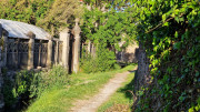 Nant_25_05-226
