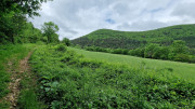 Nant_25_05-23