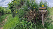 Nant_25_05-26