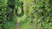 Nant_25_05-29