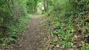 Nant_25_05-31