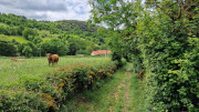 Nant_25_05-32