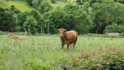 Nant_25_05-33