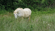 Nant_25_05-39