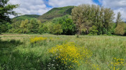 Nant_25_05-46