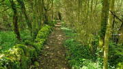 Nant_25_05-54