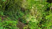 Nant_25_05-56