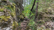 Nant_25_05-62