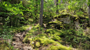 Nant_25_05-63