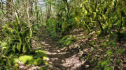 Nant_25_05-64