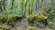 Nant_25_05-65