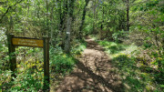 Nant_25_05-66