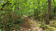 Nant_25_05-67