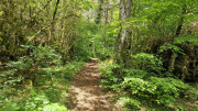 Nant_25_05-71