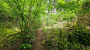 Nant_25_05-75