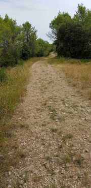 Lac_CECELES_19_08-11