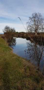19_01_13_Lunel_Canal-5