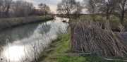 19_01_13_Lunel_Canal-8