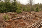 Compost compartiment