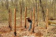Abri à bois, mise en place des piliers