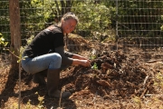 Plantation
