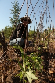 Plantation