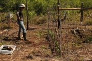 Plantation