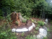 Jardin devant la cabane
