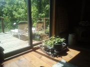 Jardin intérieur qui est passé depuis sur le deck