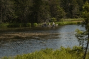 Balade sur le lac